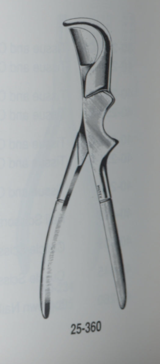 Gluck Rib Shear, 8 in Stainless Steel, Model 25-360 — 1188